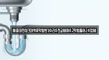 세종대전싱크대역류막힘변기수리수전교체하수구막힘뚫어24업체
