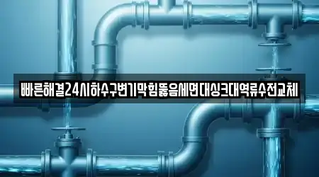 대전광역시 유성구 성북동 지역 배관 뚫음 5곳 정리