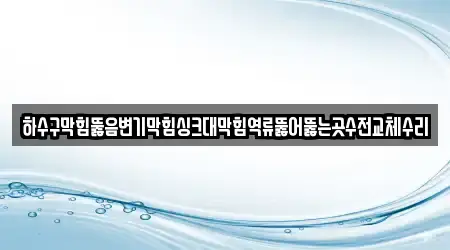 11곳 변기막힘 주소 모음 대전광역시 장동