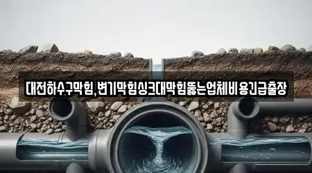 대전하수구막힘,변기막힘싱크대막힘뚫는업체비용긴급출장