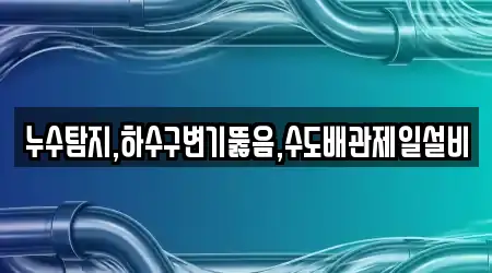누수탐지,하수구변기뚫음,수도배관제일설비