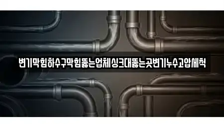 변기막힘하수구막힘뚫는업체싱크대뚫는곳변기누수고압세척