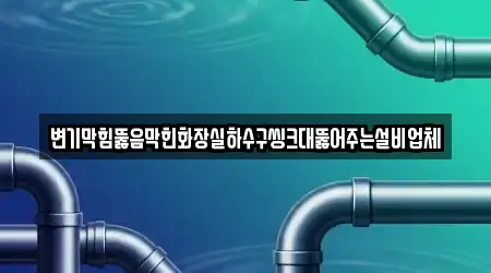 변기막힘뚫음막힌화장실하수구씽크대뚫어주는설비업체