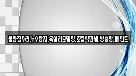울산집수리,누수탐지,욕실리모델링,조립식판넬,방충망,페인트