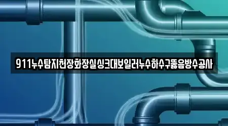 911누수탐지천장화장실싱크대보일러누수하수구뚫음방수공사