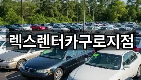 경기도 고양시 덕양구 내곡동 렌트카 어떻게 고를까? 5곳