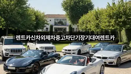 렌트카신차외제차중고차단기장기대여렌트카