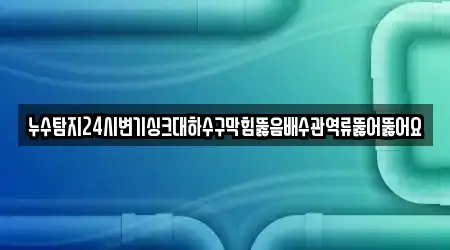 누수탐지24시변기싱크대하수구막힘뚫음배수관역류뚫어뚫어요