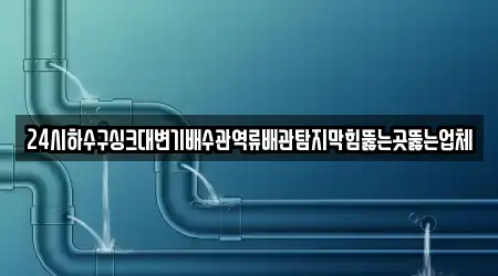 24시하수구싱크대변기배수관역류배관탐지막힘뚫는곳뚫는업체