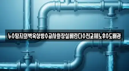 누수탐지외벽옥상방수공사화장실베란다수전교체노후수도배관