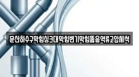 문산하수구막힘싱크대막힘변기막힘뚫음역류고압세척