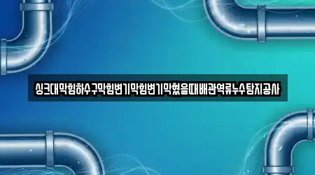 싱크대막힘하수구막힘변기막힘변기막혔을때배관역류누수탐지공사