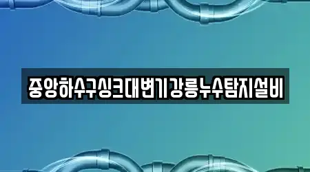 중앙하수구싱크대변기강릉누수탐지설비