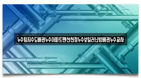 누수탐지수도배관누수아파트펜션천정누수보일러난방배관누수공사