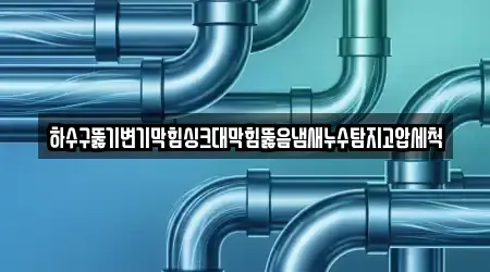 하수구뚫기변기막힘싱크대막힘뚫음냄새누수탐지고압세척