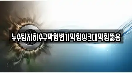 누수탐지하수구막힘변기막힘싱크대막힘뚫음