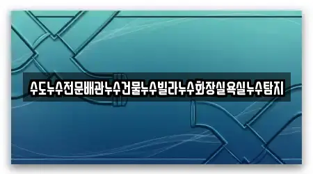 수도누수전문배관누수건물누수빌라누수화장실욕실누수탐지
