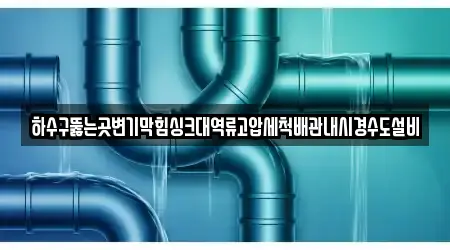 하수구뚫는곳변기막힘싱크대역류고압세척배관내시경수도설비