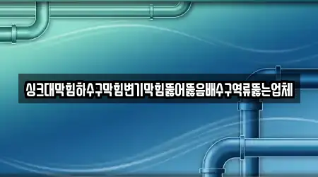 싱크대막힘하수구막힘변기막힘뚫어뚫음배수구역류뚫는업체