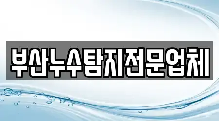 부산누수탐지전문업체