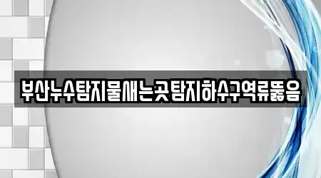 부산누수탐지물새는곳탐지하수구역류뚫음