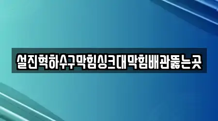 설진혁하수구막힘싱크대막힘배관뚫는곳