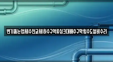 변기뚫는업체수전교체하수구역류싱크대배수구막힘수도설비수리