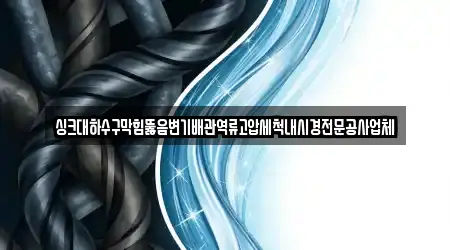 싱크대하수구막힘뚫음변기배관역류고압세척내시경전문공사업체