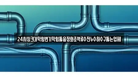 24시싱크대막힘변기막힘뚫음정화조역류수전누수하수구뚫는업체