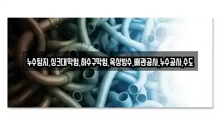 누수탐지,싱크대막힘,하수구막힘,옥상방수,배관공사,누수공사,수도