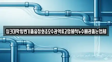 싱크대막힘변기뚫음정화조오수관역류고압세척누수배관뚫는업체