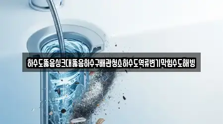 하수도뚫음싱크대뚫음하수구배관청소하수도역류변기막힘수도해빙