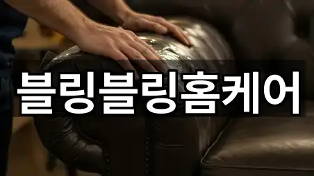 가까운 전북특별자치도 모현동2가 입주청소 4곳