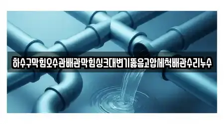 하수구막힘오수관배관막힘싱크대변기뚫음고압세척배관수리누수