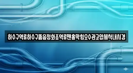 하수구역류하수구뚫음정화조역류맨홀막힘오수관고압세척내시경
