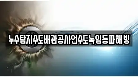 누수탐지수도배관공사언수도녹임동파해빙
