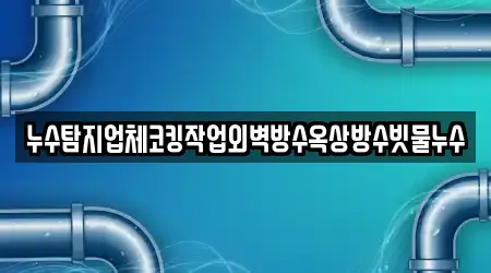 누수탐지업체코킹작업외벽방수옥상방수빗물누수