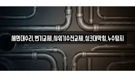 세면대수리,변기교체,샤워기수전교체,싱크대막힘,누수탐지
