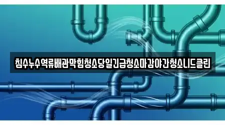 침수누수역류배관막힘청소당일긴급청소마감야간청소니드클린