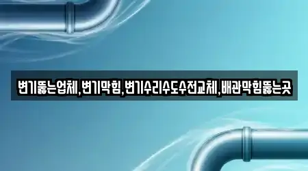 변기뚫는업체,변기막힘,변기수리수도수전교체,배관막힘뚫는곳