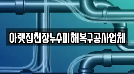 아랫집천장누수피해복구공사업체