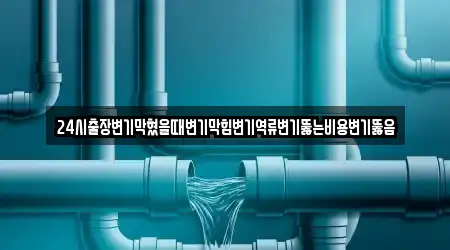 24시출장변기막혔을때변기막힘변기역류변기뚫는비용변기뚫음
