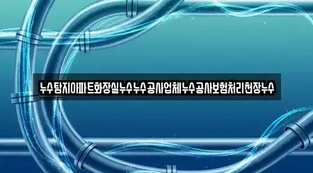 누수탐지아파트화장실누수누수공사업체누수공사보험처리천장누수