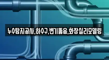 누수탐지공사,하수구,변기뚫음,화장실리모델링