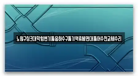 노원구싱크대막힘변기뚫음하수구뚫기역류세면대뚫어수전교체수리