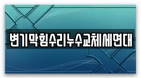 변기막힘수리누수교체세면대