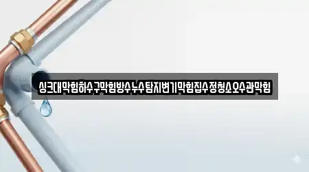 싱크대막힘하수구막힘방수누수탐지변기막힘집수정청소오수관막힘