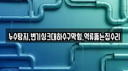 누수탐지,변기싱크대하수구막힘,역류뚫는집수리