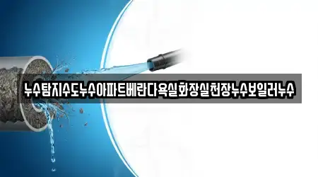 누수탐지수도누수아파트베란다욕실화장실천장누수보일러누수