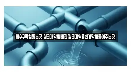 하수구막힘뚫는곳 싱크대막힘배관씽크대역류변기막힘뚫어주는곳